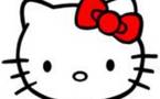 <br><br><b>Alerte : Un ver nommé 'Hello Kitty' ou 'AutoKitty.A' ravage les ordinateurs !!! </b><br><br>