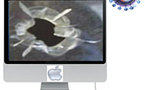 <br><br><b>Le premier véritable virus pour Mac OS exploite une vulnérabilité du système Apple</b><br><br>